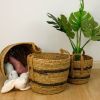 Seagrass Rope Storage Basket Natural Medium | Home Storage & Living